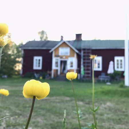 Paeivin Pirtti - Pirttikahvila Ja B&B Луосто Екстер'єр фото