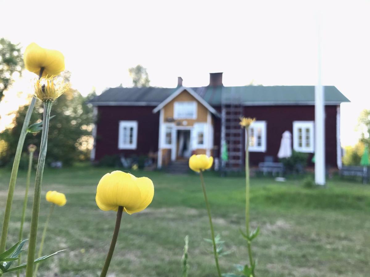 Paeivin Pirtti - Pirttikahvila Ja B&B Луосто Екстер'єр фото